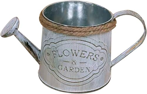 MERRYHAPY Maceta de hierro vintage con asa de cuerda, contenedor decorativo para flores frescas y secas para jardín y decoración del hogar