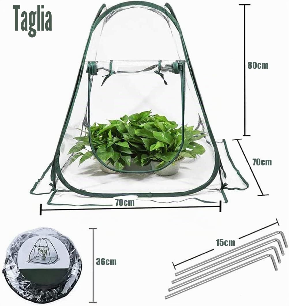 LATERN Tenda della Serra Pop Up, Mini Grow House Stanza del Sole del Fiore del Giardino del PVC Copertura per Serra Portatile per Piante da Giardino Protezione dal Gelo Freddo (70 x 70 x 80cm)