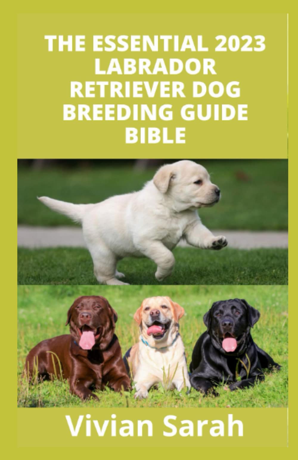 Buy The Essential 2023 Labrader Dog Breeding Guide Bible Complete