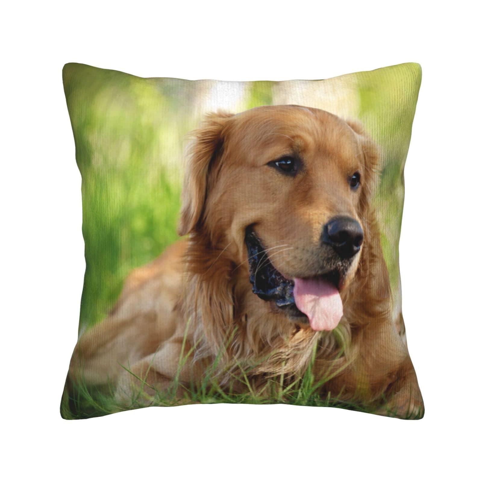 Oudrspo Dog Golden Retriever Decorative Throw Pillow, Cushion 20"X20", Luxury Throw Pillow For Couch Sofa Bed