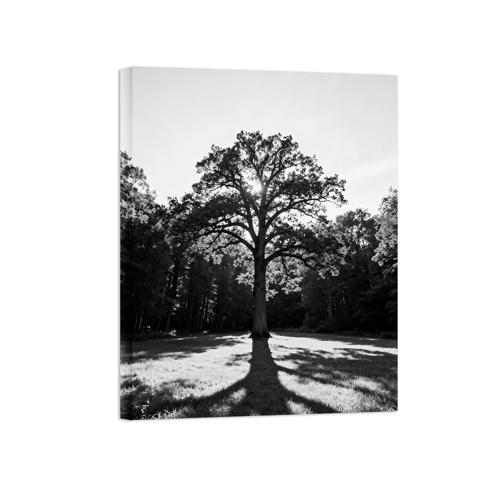 OZPWBVY Tree Meadow Black White Landscape Wall Art Prints 90x117cm Framed