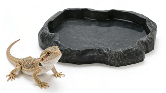 FuxFuis Cuenco para Reptiles Comedero para Reptiles Bebedero para Reptiles Comedero de Comida y Agua…