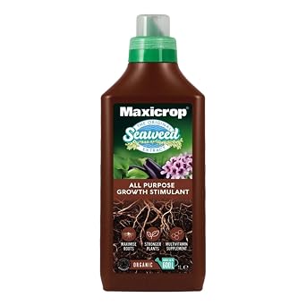 Maxicrop Original Seaweed Extract Liquid Plant Feed, All Purpose Growth Support for Flowers, Vegetables, Lawns & Houseplants, Organic Seaweed Formula, 1 Litre