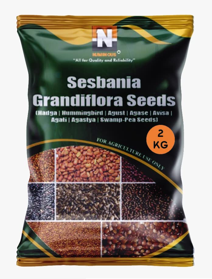 Numinous Sesbania Grandiflora/Hummingbird/Hadga/Agust/Agase/Avisa/Agati/Agastya/Swamp- Pea Tree Seeds - 2 KG (B099RM19XP) Amazon Price History, Amazon Price Tracker