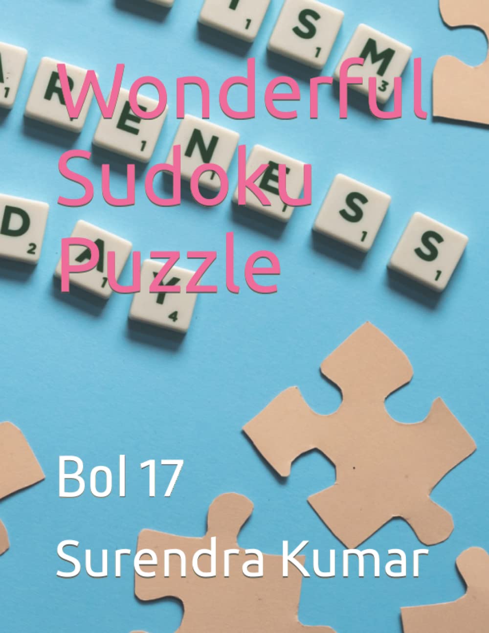 Wonderful Sudoku Puzzle: Bol 17