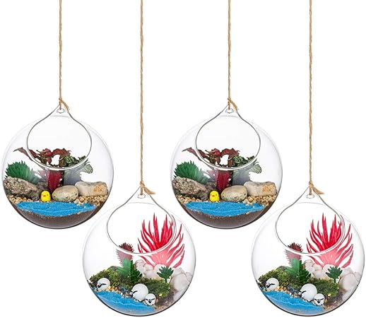 Floran terrarium vaas - glas - 8 liter - met kurk deksel - 18 x 27 cm | Fun en Feest