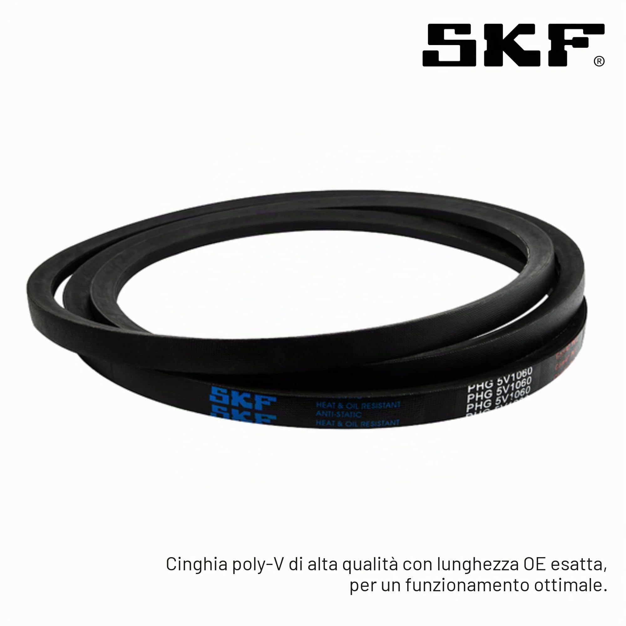 SKF VKMV 6PK976 Cinghia Multi-V
