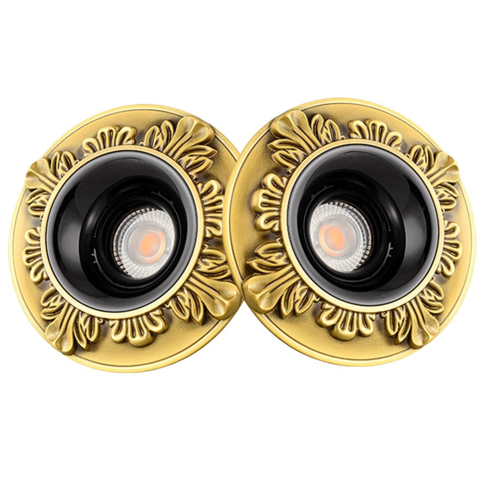 Spot LED 5 pouces à haute fidélité de couleur CRI90 directif