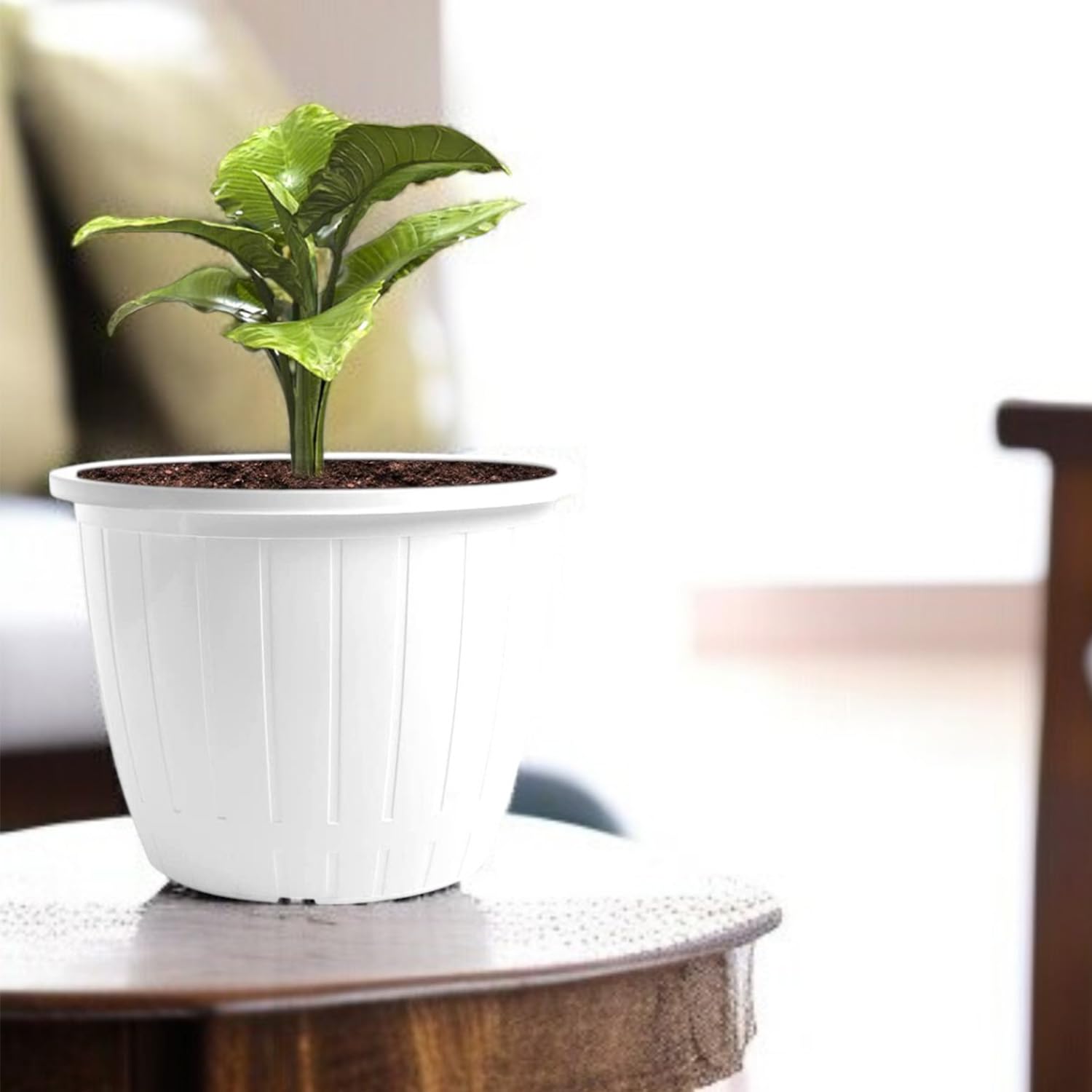 White Flower Pots - 6 Pack for Gardening -3 White Flower Pots - 6 Pack for Gardening -3