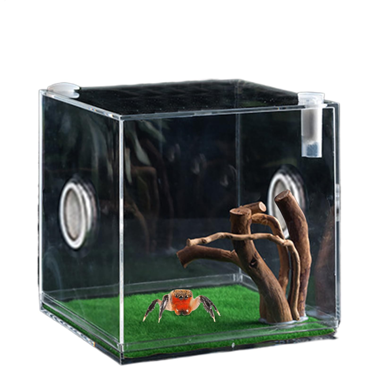 Clear Glass Reptile Container - Acrylic Reptile Growth Enclosure - Lightweight and Small Animal Breeding Box for Turtles, Beetles, Snails, and Lizards