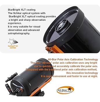 【psa10】原初の天水メガ　プロモ ぷろも」の激安通販 | magi