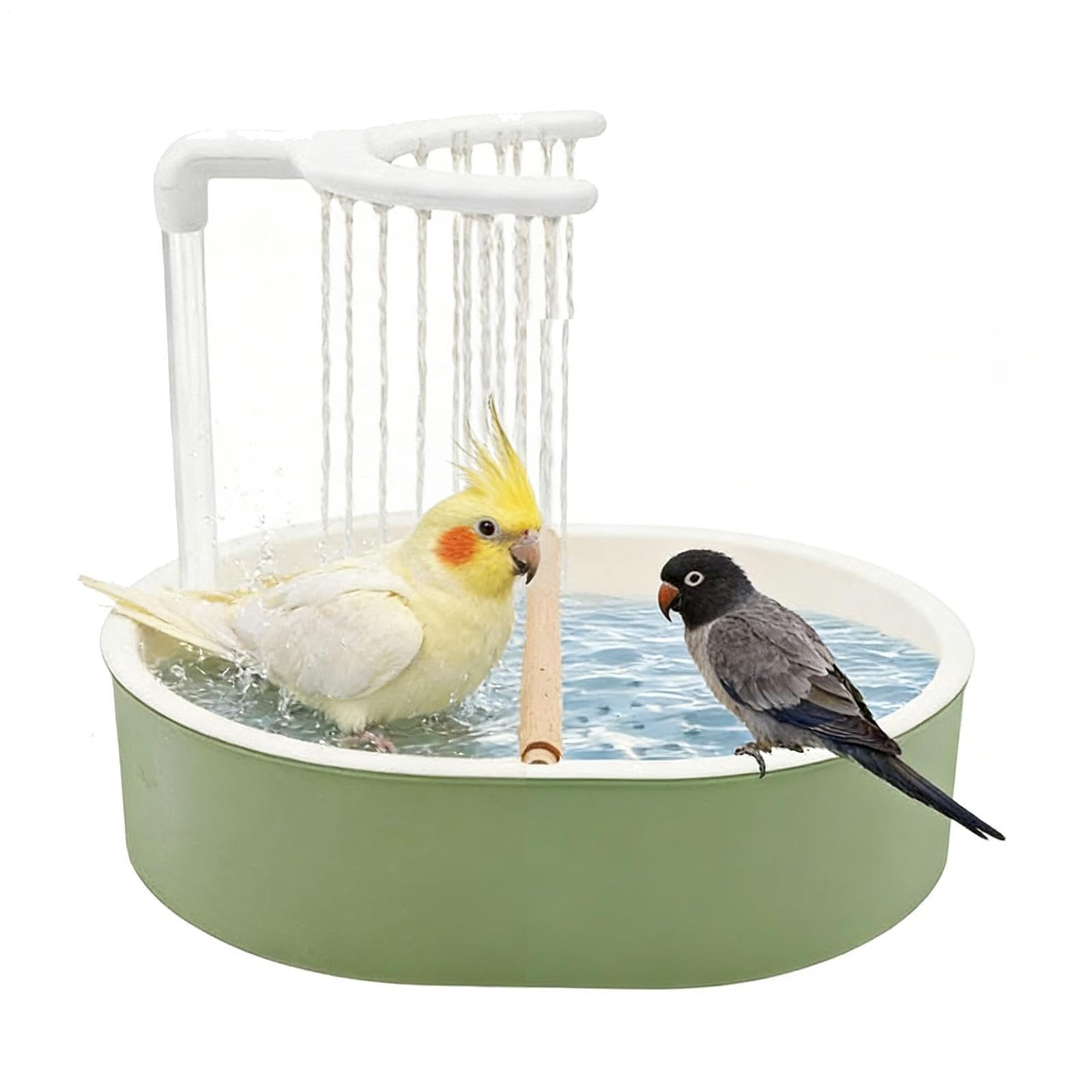 Bain d'eau automatique pour cage : le secret pour des calopsittes et perruches heureuses