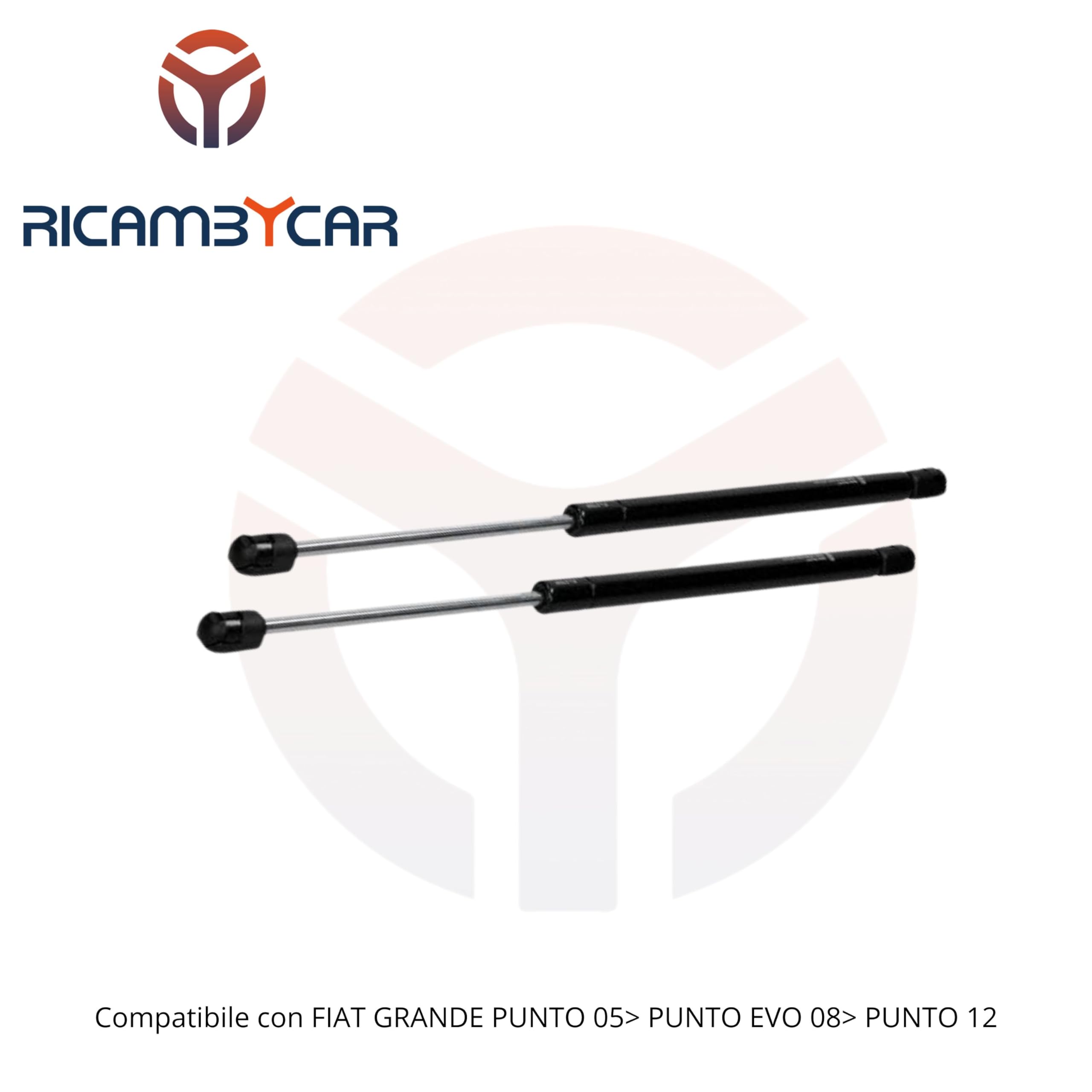 Coppia Molle A Gas Posteriore Fiat Grande Punto Dal 2005 GFT132-RB - Foto 11