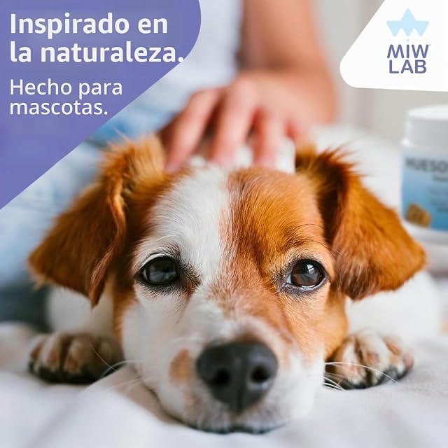 Foto 7 de 7 de Condroprotector Perro Huesos Fuertes Vitalidad y Energia 200Uds Suplemento Colágeno Artrosis Dolor Pata…