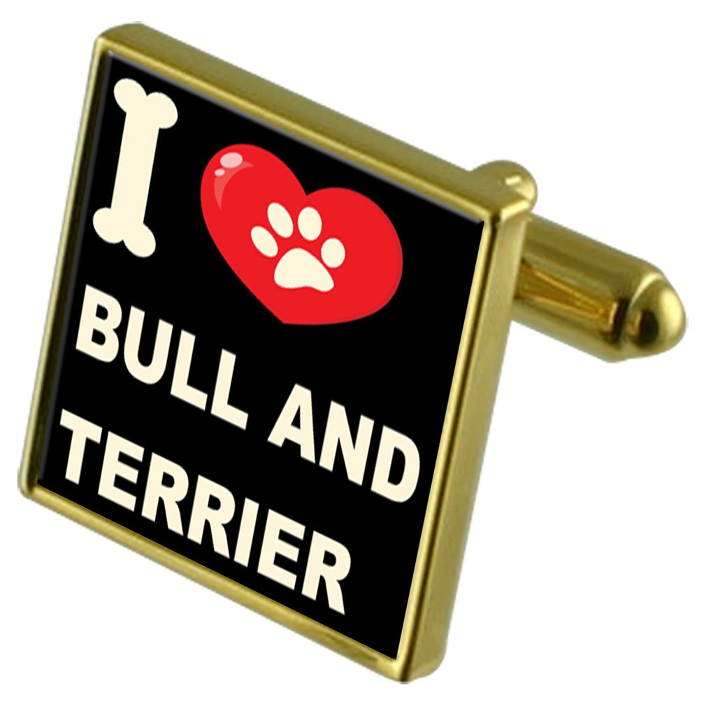 Gemelos Bull & Terrier contra bolsillos llenos con pinza de billetes 5
