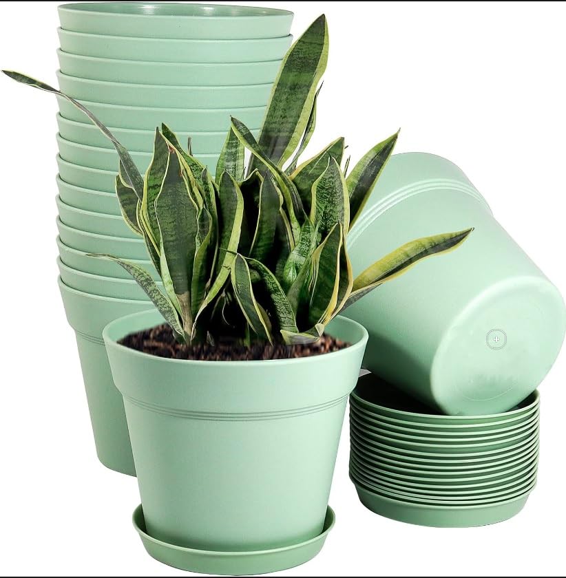 See full amazon price history chart for JIGSHTIAL Plastic 8 Inch Round Flower Pots, Gamla for Home Planters, Terrace, Garden | Pack of 05 | Suitable for Home Indoor & Outdoor Gardening Pot Planter (SEA Green) JIGSHTIAL Plastic 8 Inch Round Flower Pots, Gamla for Home Planters, Terrace, Garden | Pack of 05 | Suitable for Home Indoor & Outdoor Gardening Pot Planter (SEA Green) (B0CKF2J23X) Amazon Price History, Amazon Price Tracker