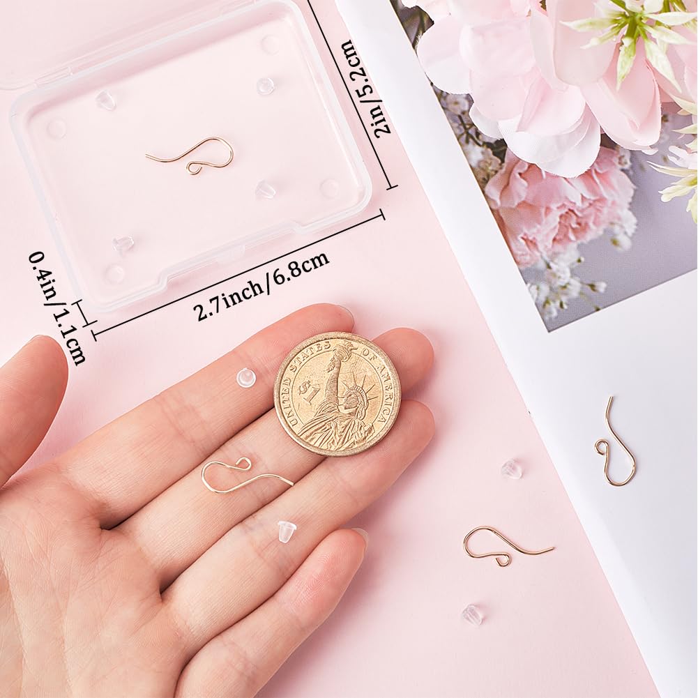 Beebeecraft Box 6Pcs Filled Earring Hooks 14K Gold Plated Brass