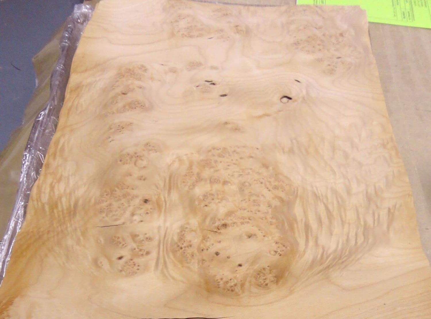 Maple Burl Cluster Wood Veneer Sheet 10" x 28" raw no Backing 1/42" Thickness