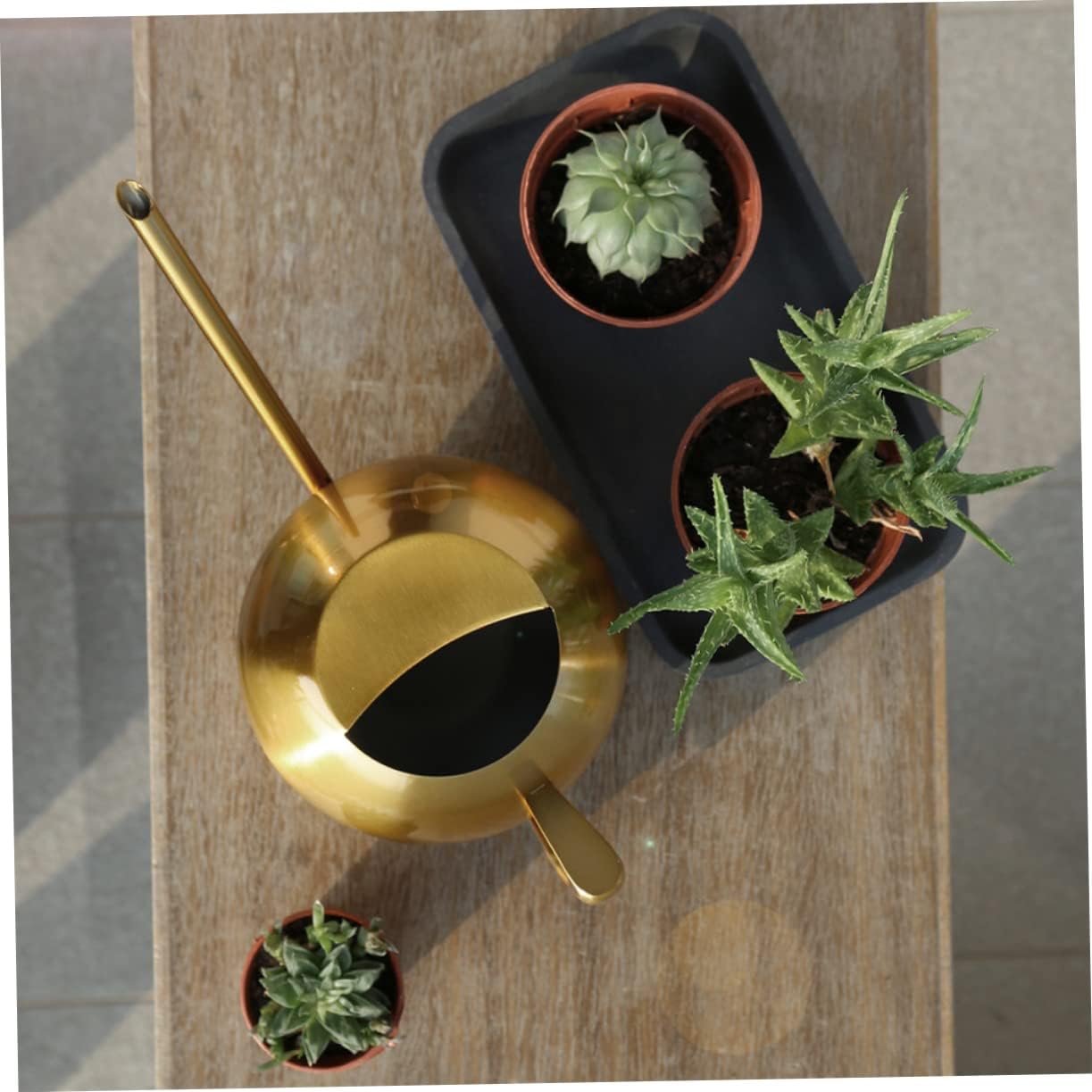 Watering can,Stainless Steel Water Bottle Metal Watering Can Watering Can Indoor Bonsai Watering Pot Bonsai Houseplant Watering Can Plants Watering Sprayer Kettle Watering Device Shower Pot(Golden)