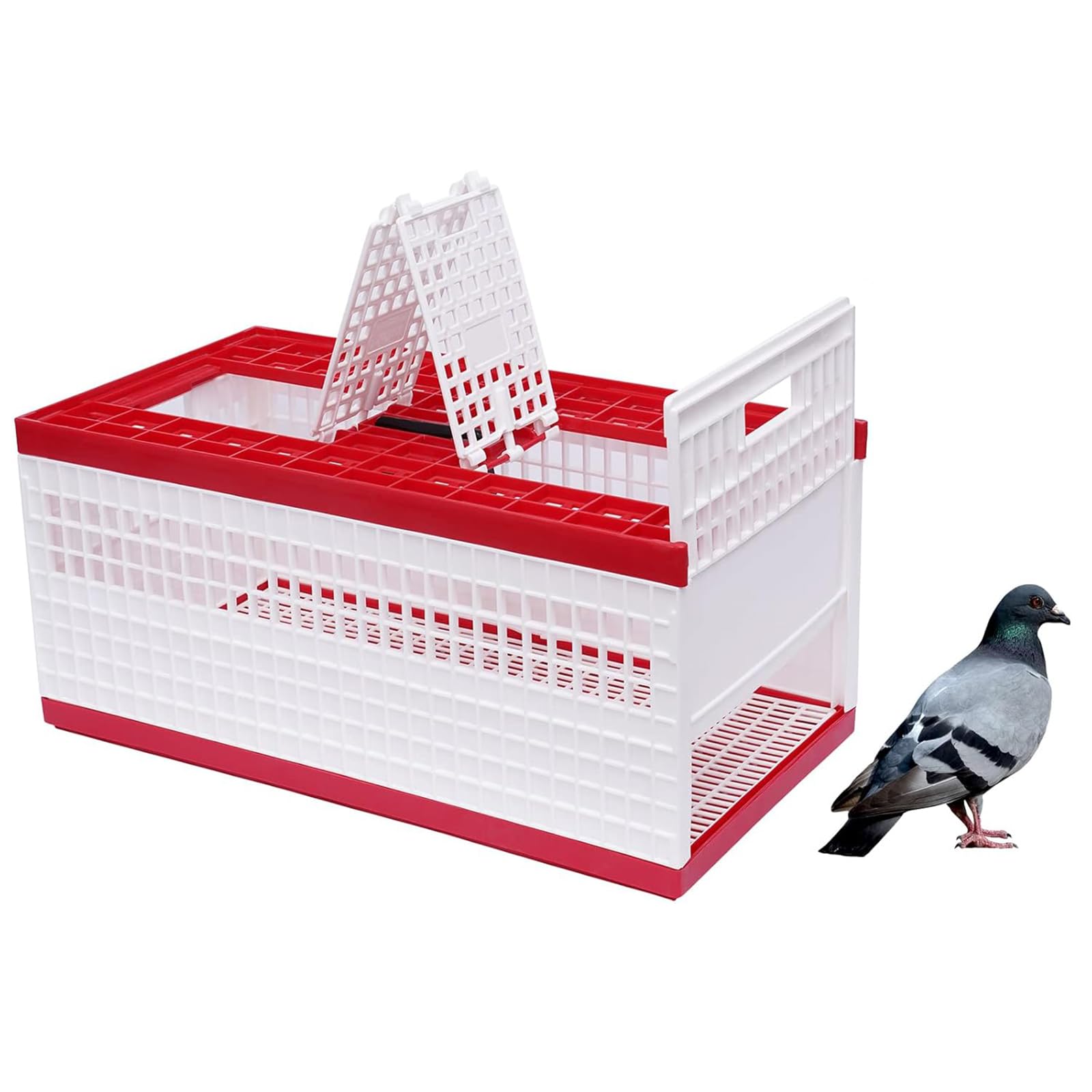 Caja Plegable de plástico para Transporte de Palomas con Capacidad para 14 Palomas, Jaula de Transporte de Carreras con asa y Puertas Laterales para Entrenamiento, liberación y competición