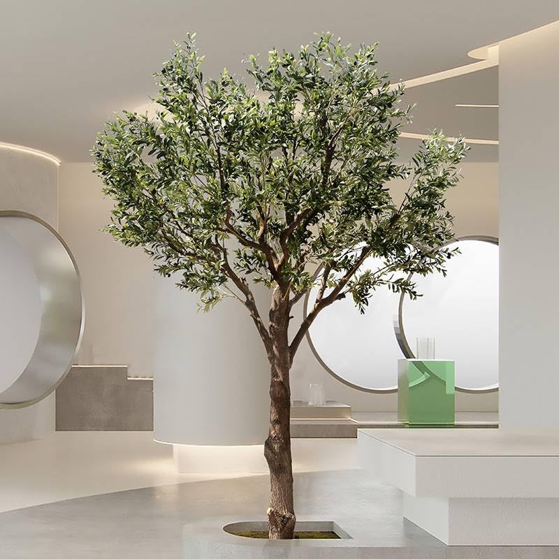 Amazon｜オリーブツリーシミュレーション植物鉢植え植物、ヨーロッパ