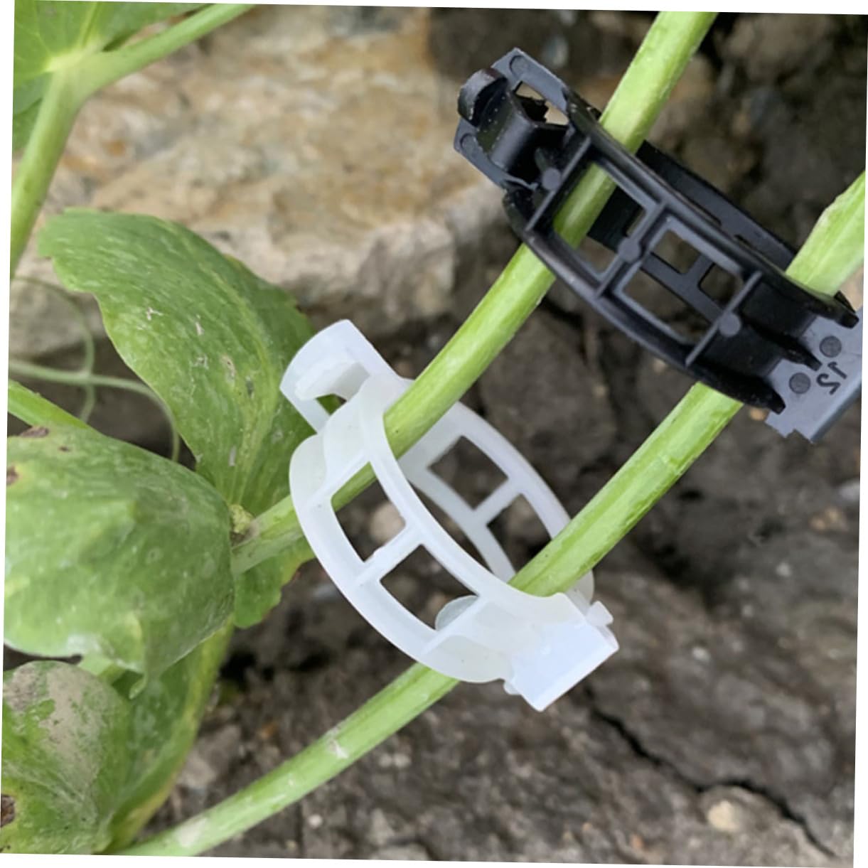 SUPVOX 5 Ensembles Clips De Fixation pour Plantes Supports De Vigne pour Plantes Grimpantes Accessoires De Jardinage Pratiques Durables 100 Pièces * 5