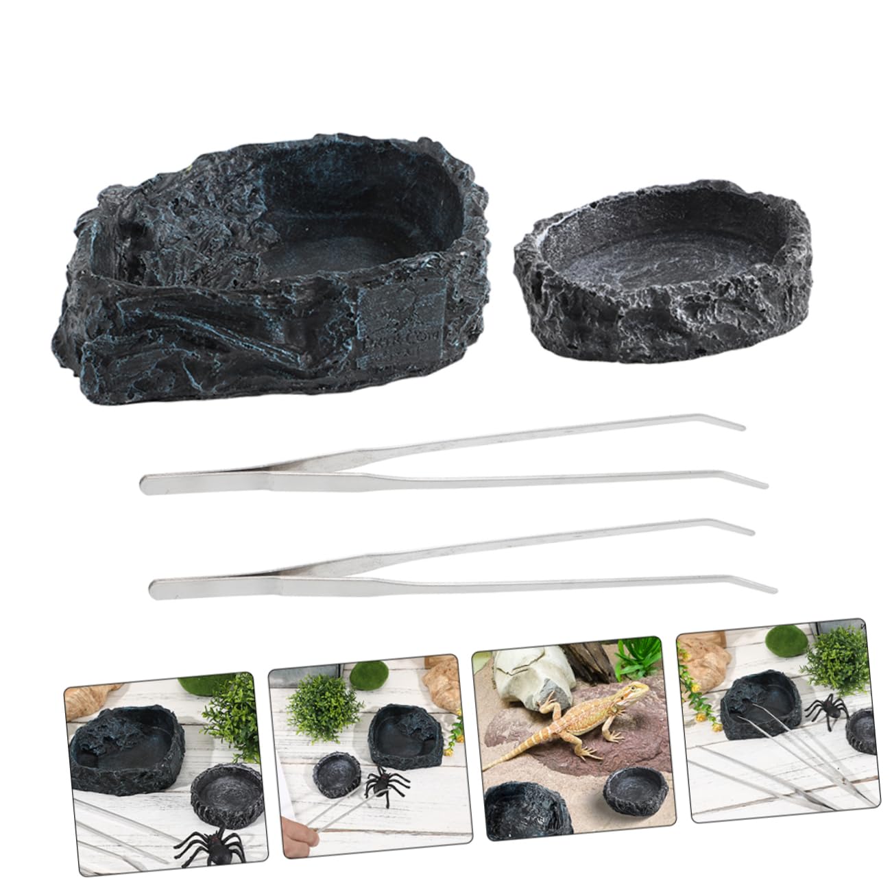 Cabilock 1 Set Ciotola per Rettili con Accessori Completo per Drago Barbuto e Ciotola per Cibo Inossidabile Include Pinze per Tartarugh Lucertole