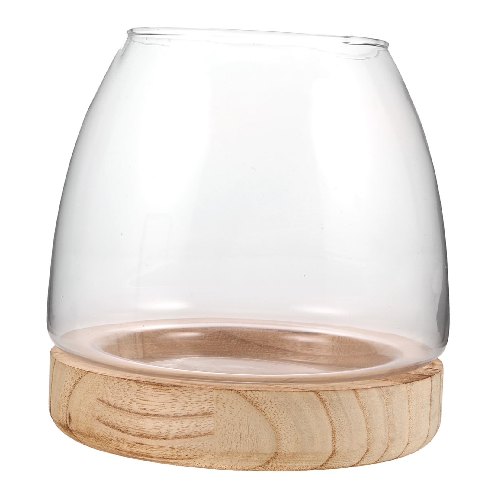 Vase Hydroponique Verre avec Base Propagation Eau Facile Décor de Table Élégant pour Plante Intérieur et Aquarium Miniature