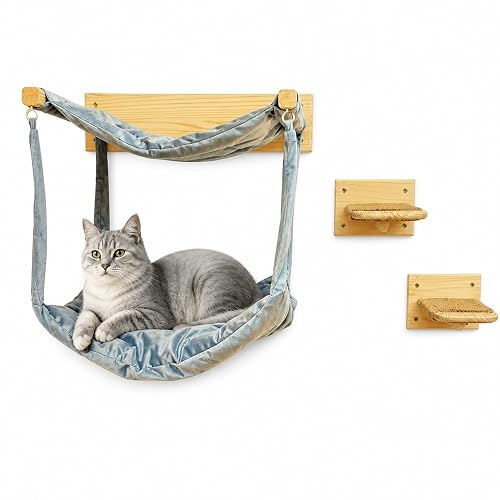 myHANA Pared de escalada para gatos de madera maciza, incluye 2 escaleras para gatos y hamaca