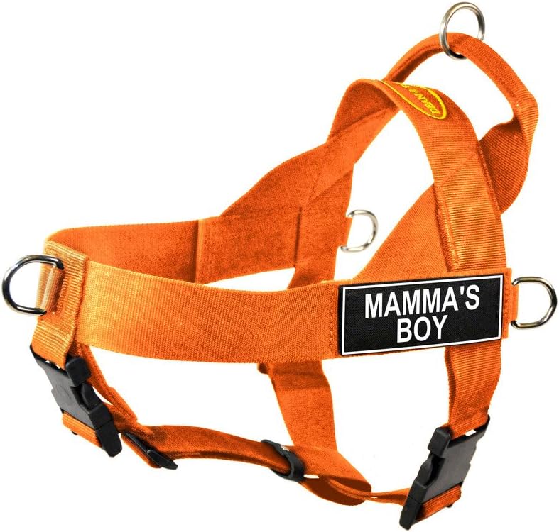 Dean & Tyler DT Universal No Pull Dog Harness with Mamma's Boy Patches, X-Large, Orange