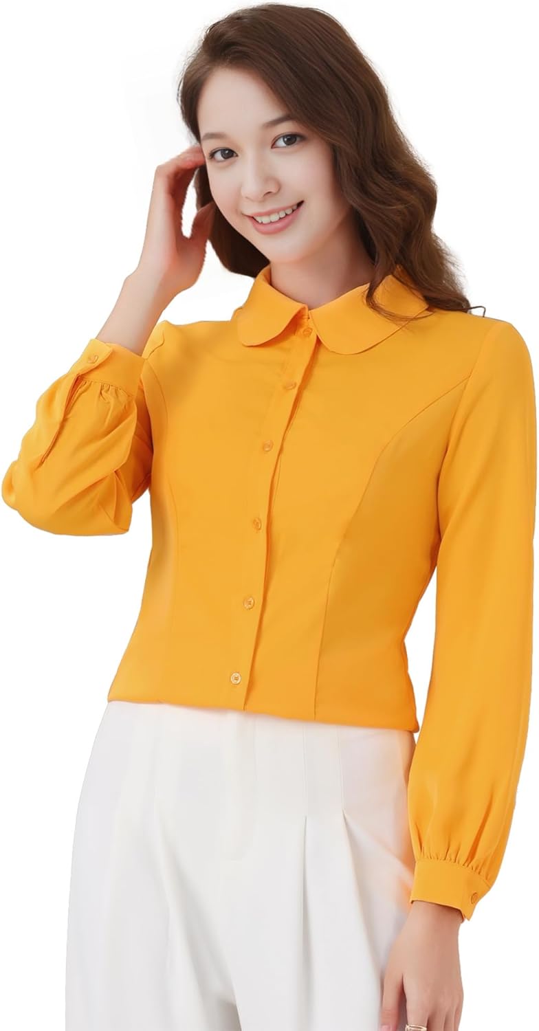 Amazon | [Allegra K] ブラウス レディース 長袖 シフオン