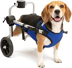 Cadeira de 2 Rodas Para Cachorro Tam M com Colete Azul Regulável Pata Traseira Paraplegia Reabilitação Paralisia Idoso Pet Best Soluções
