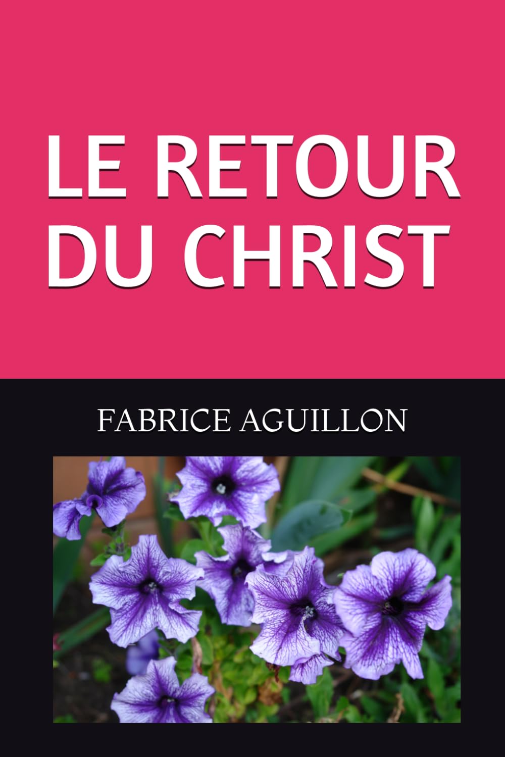 LE RETOUR DU CHRIST