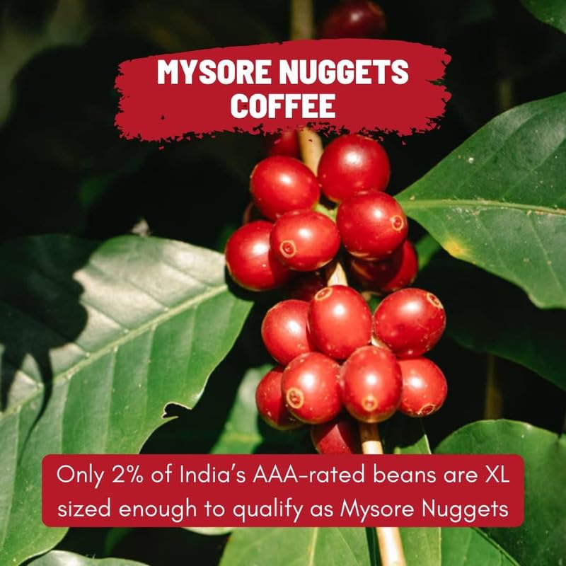 Image of Toffee Coffee Roasters | Mysore Nuggets Coffee, Dark Roast, 100 g | Grind: Espresso, Speciality Blend, 100% Arabica | Speciality Coffee | Freshly Roasted