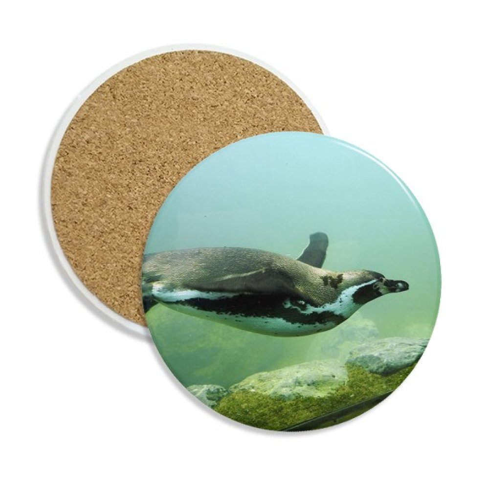 Porte-absorbant pierre pour boissons avec motif Penguin Antarctique