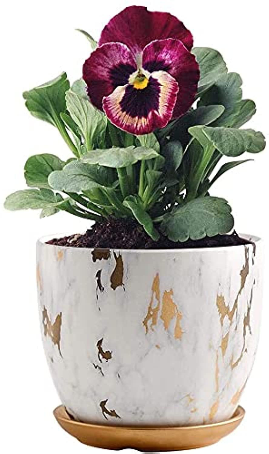 Marble Plant Pot, 5.8 inch Modern Ceramic Nordic Style Marble Look Scrub Pots for Plants-Plant Pots Indoor with Drainage Hole and Ceramic Tray for Succulents/Plants/Flowers