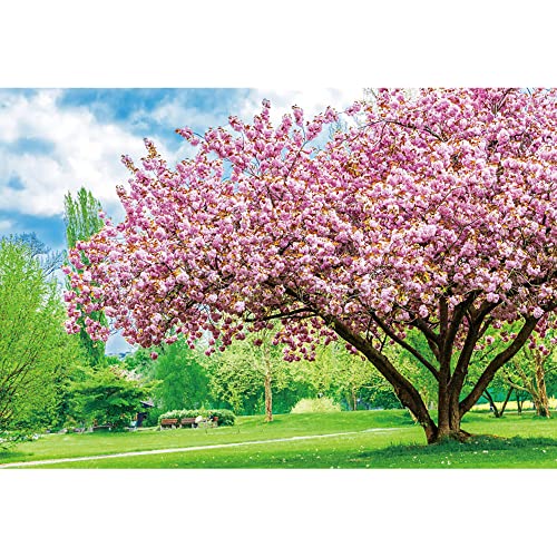 Aoihrraan 3,5x2,5m Nature Landscape Backdrop Spring Cherry Blossom Trees Green Lawn Grass Sunshine Scenery Photography Background Wedding Party Mother Woman Lady Girls Portrait Photo Studio Prop Vinyl