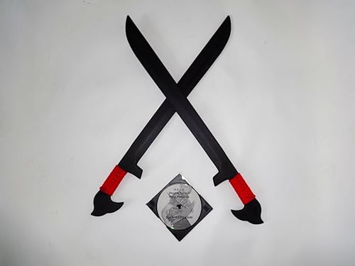 2 espadas práctica espada entrenador y artes marciales flujo patrón DVD de instrucciones rojo