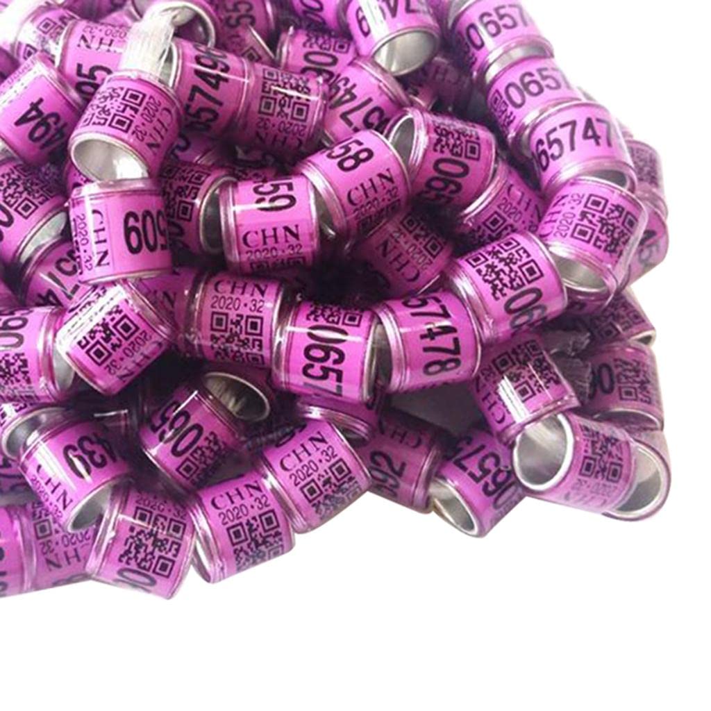 Anillos de piernas de pájaro de Aluminio, Anillos De Aluminio for Patas De Pájaros Y Palomas con Números Impresos, 8 Mm, Morado, Paquete De 100(5 Set Ofpurple)