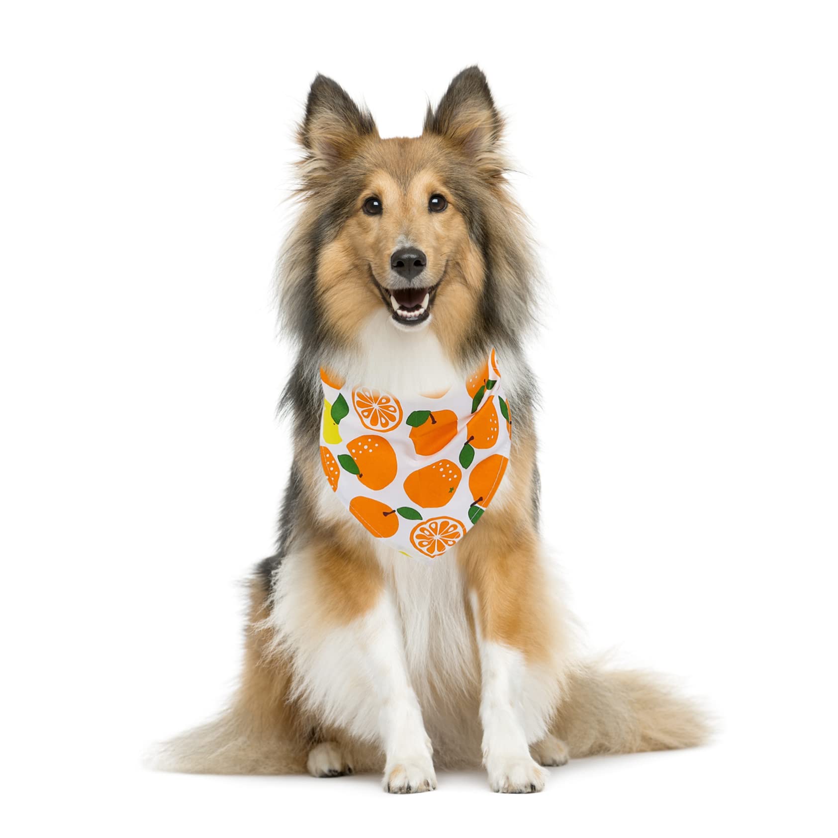 Sosoport 15pièces Bandanas pour Chiens Et Serviettes avec Motif De Fruits Évitent La Et Eau Confortables Et pour Animaux De Moyenne
