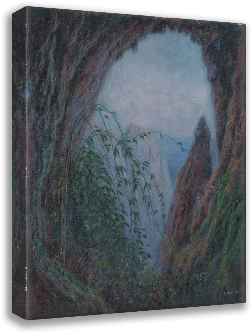 Amazon.com: ArtDirect Dezider Czölder 19x24 Gallery Wrapped