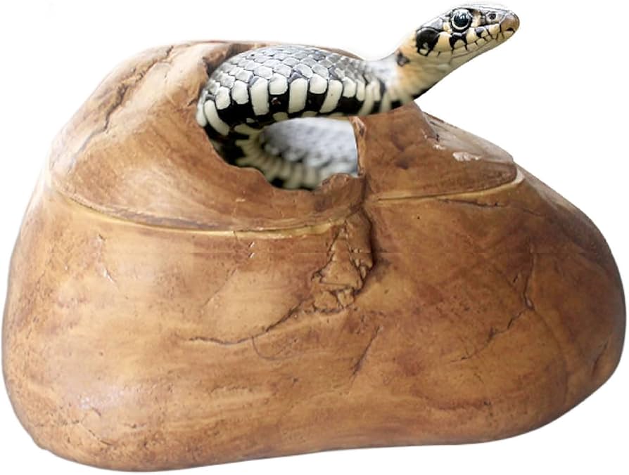 Amazon | Archnote 蛇 ヘビ シェルター 大型 家 ロックシェルター