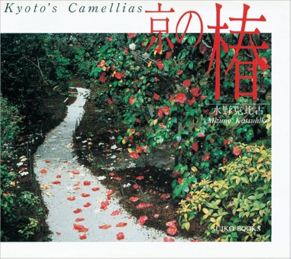 【中古】 陶芸と聖書/いのちのことば社/椿厳三（１９４６生） 陶芸と聖書 : 椿厳三(1946生) | HMV&BOOKS online - 9784264019053