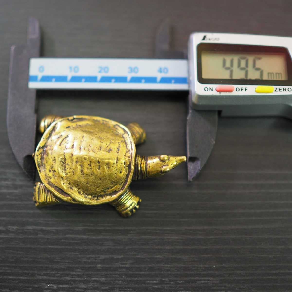 Amazon.co.jp: スッポン すっぽん 亀 真鍮 ブラス 金運 brass 置物