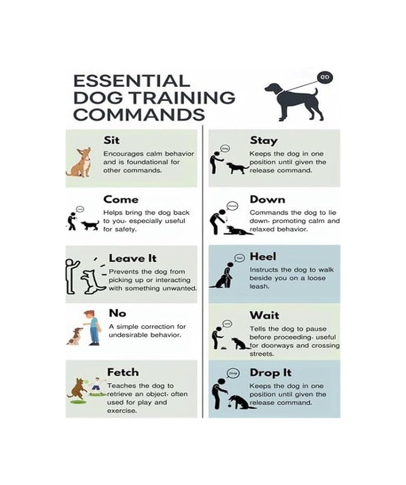 ZDVHOMCB Basic Dog Training Commands Guide Poster Essential Obedience Tricks Wall-Art for Dog Owners Puppy Home Training Unframed,16X24inch(40X60cm)