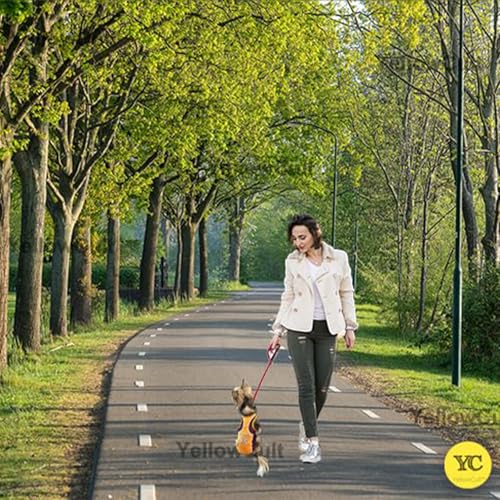 Image of Yellowcult Cute Dog T-Shirt Clothes, Summer Sweetshirts Sporty Pet Outfit for Small Dog, cat, Puppy, Kitten for Bithday Party, Travel, Outing, Photos(XS- Purple)