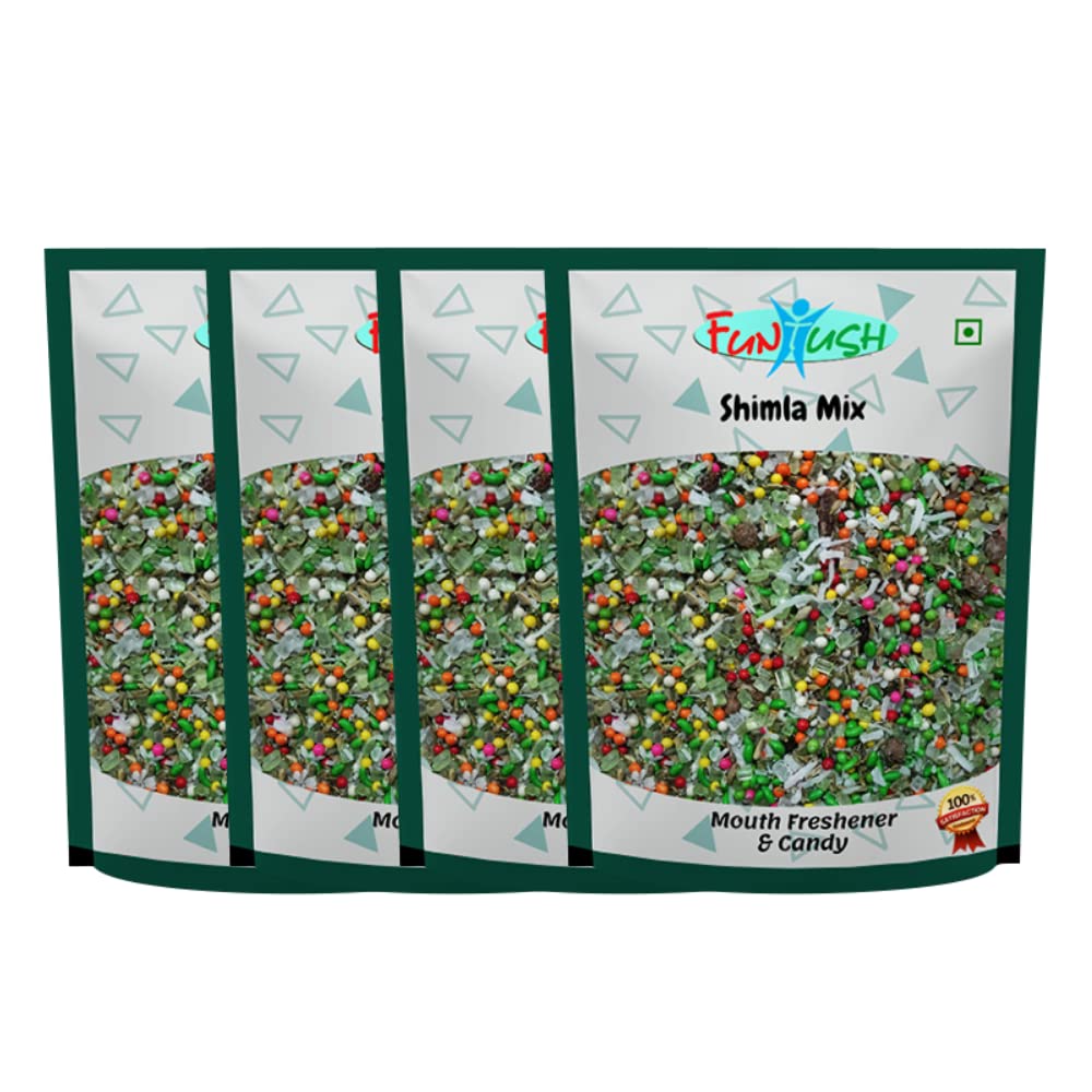 Funtush Mouth Freshener Shimla Mix Mukhwas 100g Pack of 4 | Coconut Mix | Saunf Nariyal Mixture (B09Q8WTYY9) Amazon Price History, Amazon Price Tracker