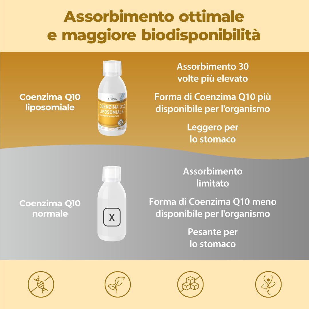 Bandini® Coenzima Q10 Liposomiale 200mg | Ubichinone Coq10 Alto Dosaggio 250ml - CAVAQ10® ad Alta Biodisponibilità, Vegano da Fermentazione del Mais | Coenzyme Q 10 | Migliore Antiossidante | Pelle