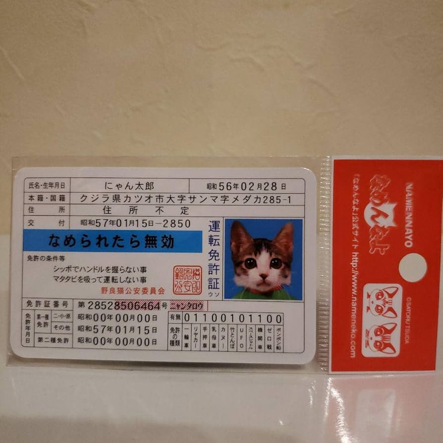 お値下げ交渉可能です。なめ猫　免許証 お値下げ交渉可能です。なめ猫免許証