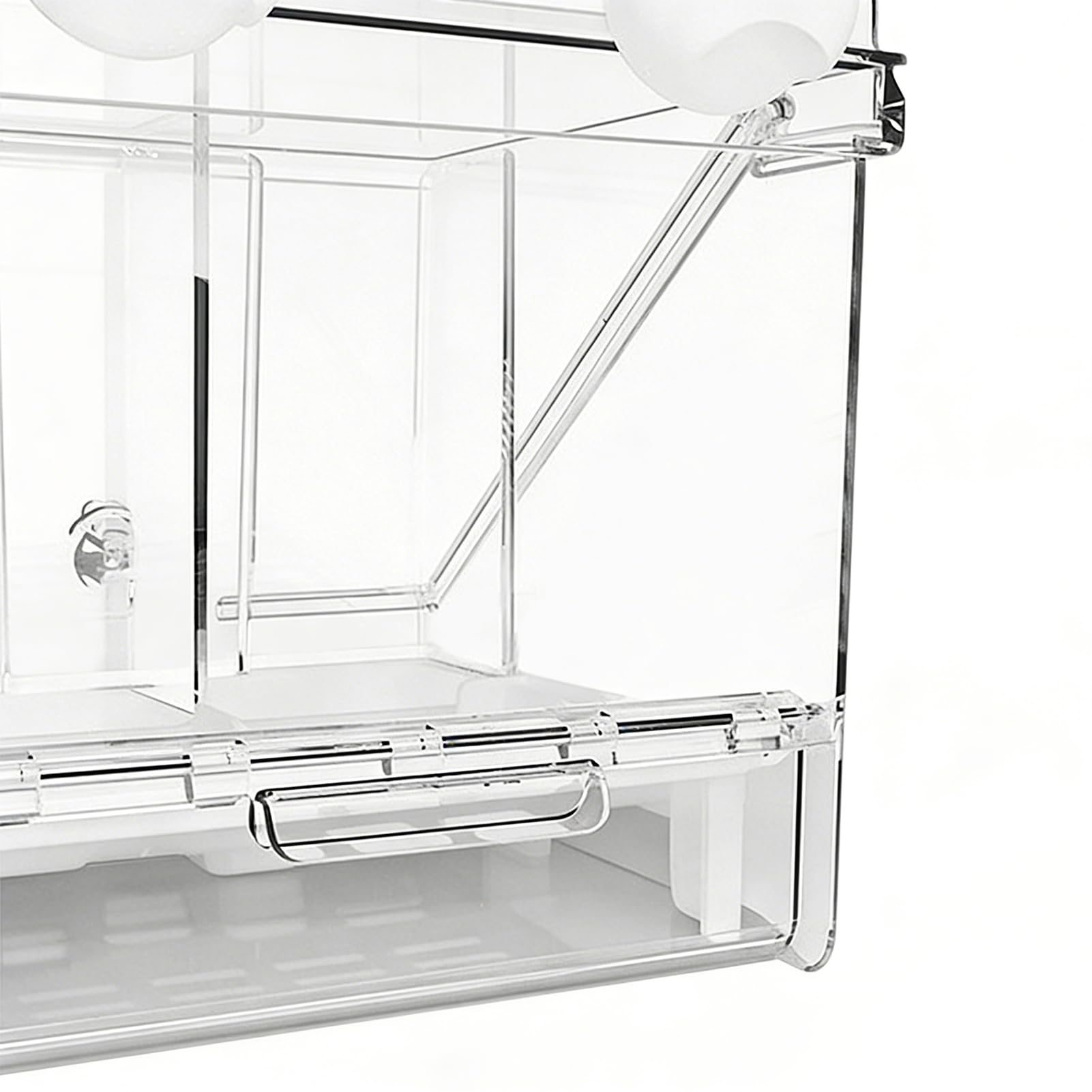 Kąpiel dla ptaków do klatki Przezroczysty pojemnik do karmienia | Mała kąpiel dla ptaków Do stosowania w klatce, podczas karmienia i w wolierze, dla nimf, konur, nierozłączek, amadynek,